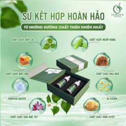 Thành Phần Chính Của Serum Trị Mụn Diếp Cá Igreen